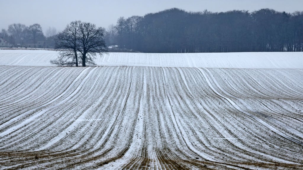 Schnee bis in die Niederungen ist am Samstag für die Mitte und den Süden vorhergesagt.
