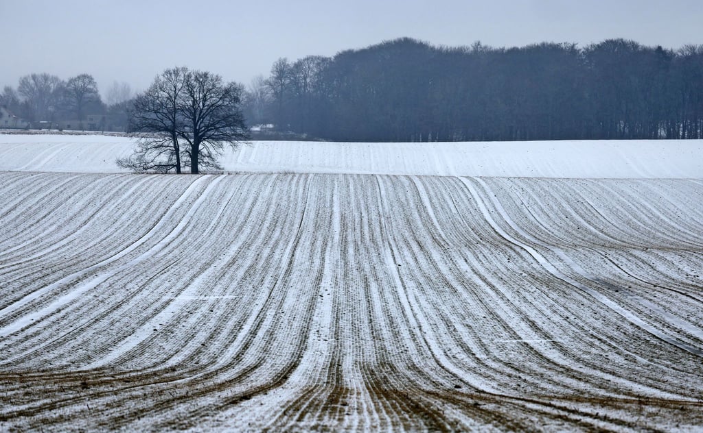 Schnee bis in die Niederungen ist am Samstag für die Mitte und den Süden vorhergesagt.
