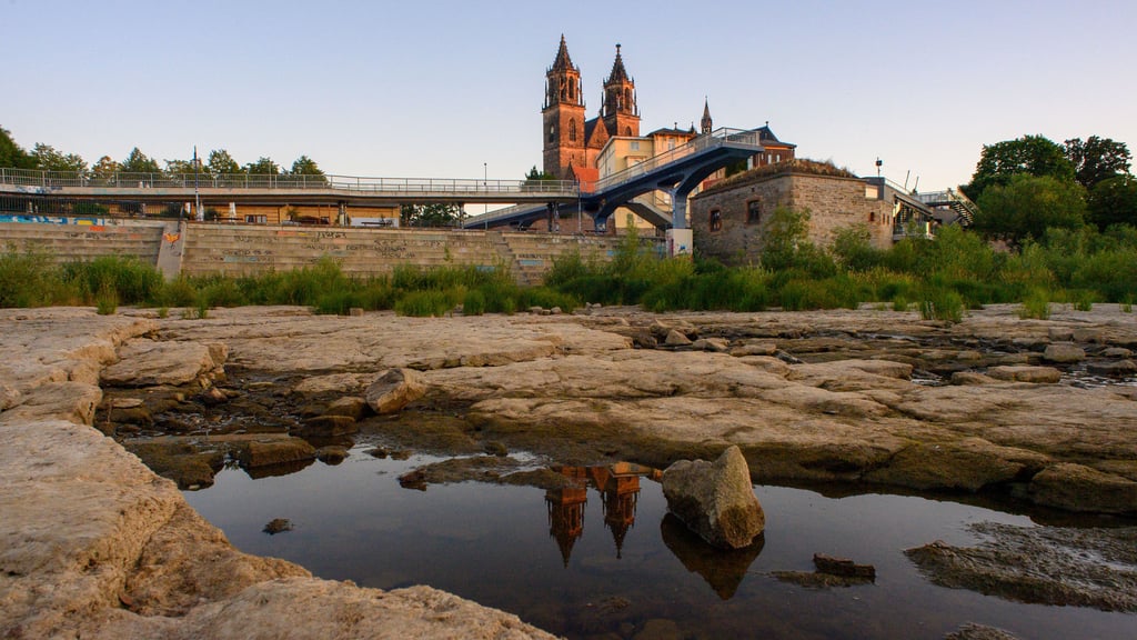  Die Sommer in Sachsen-Anhalt, hier  der Domfelsen  in Magdeburg 2025 bei Elbe-Niedrigwasser,  wurden in den letzten Jahrzehnten trockener. 