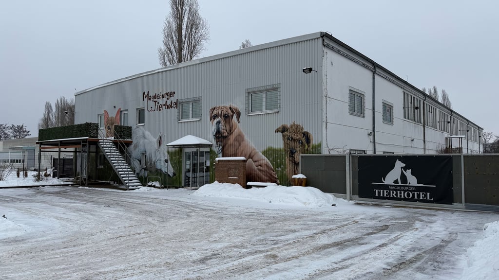 Das Tierhotel Magdeburg schließt zum März 2026 ihren Standort in Salbke an der Matthiasstraße. 