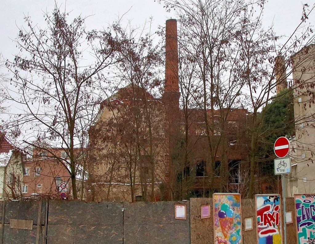 Verlassene Grundstücke gibt es reichlich in Calbe, wie hier in der Loewestraße.