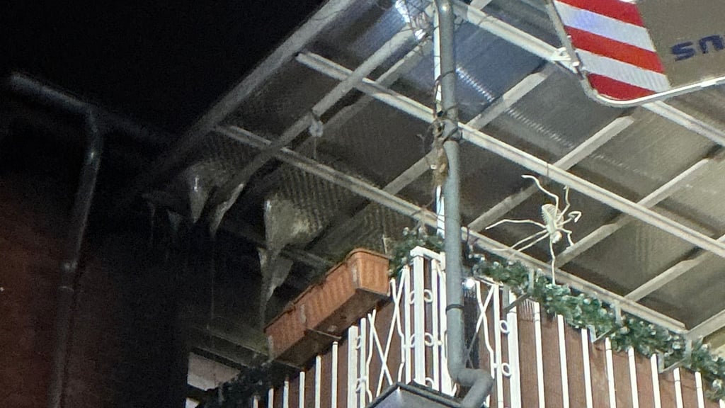 Die alarmierte Feuerwehr setzte unter anderem eine Drehleiter ein, um die Brandstelle auf dem Balkon zu erreichen.