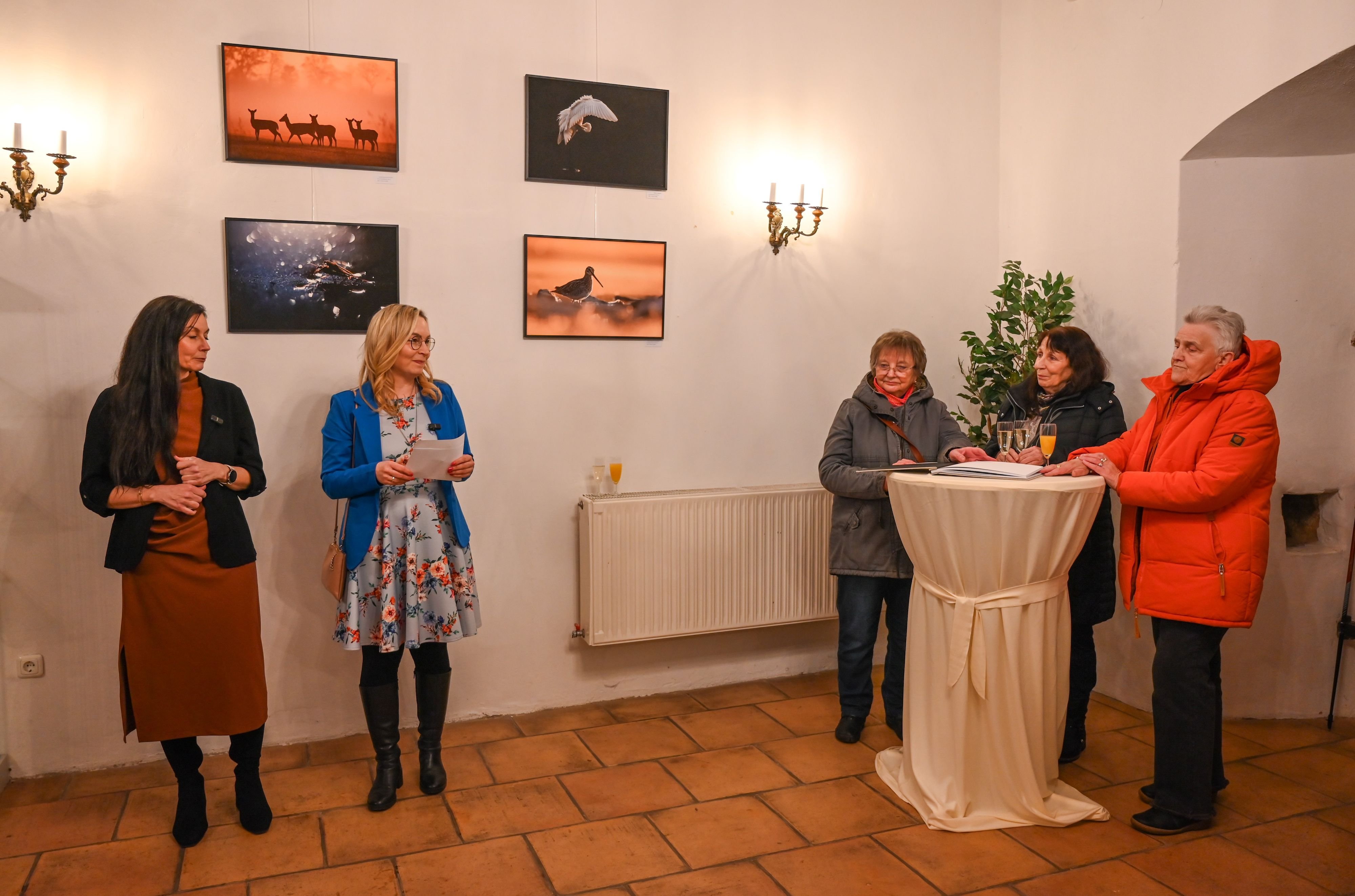Ausstellung in der Börde: Fotografin Mandy Schüßler zeigt ausgewählte Werke im Wanzleber Rathaus
