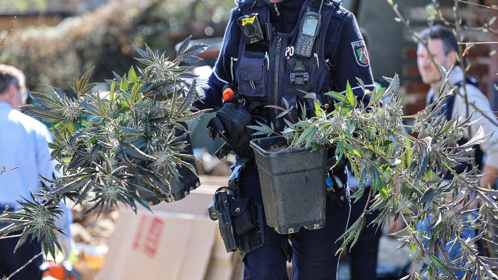 Bei einer Kontrolle der Polizei ist auf der A2 ein Transporter mit Unmengen von Cannabis entdeckt worden.