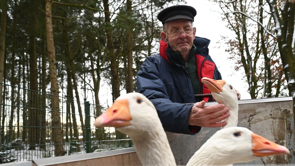 Ludwig Smidt trennt sich nach einem Nachbarschaftstreit schweren Herzens von seinen Gänsen.