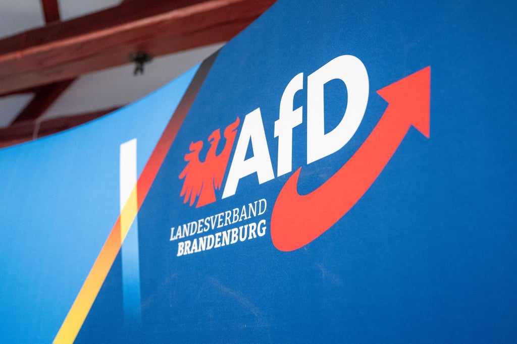 In Sachsen-Anhalt waren mehrere Fälle bekanntgeworden, in denen Familienangehörige von AfD-Politikern bei anderen Bundestagsabgeordneten beschäftigt worden sind. (Archivbild)