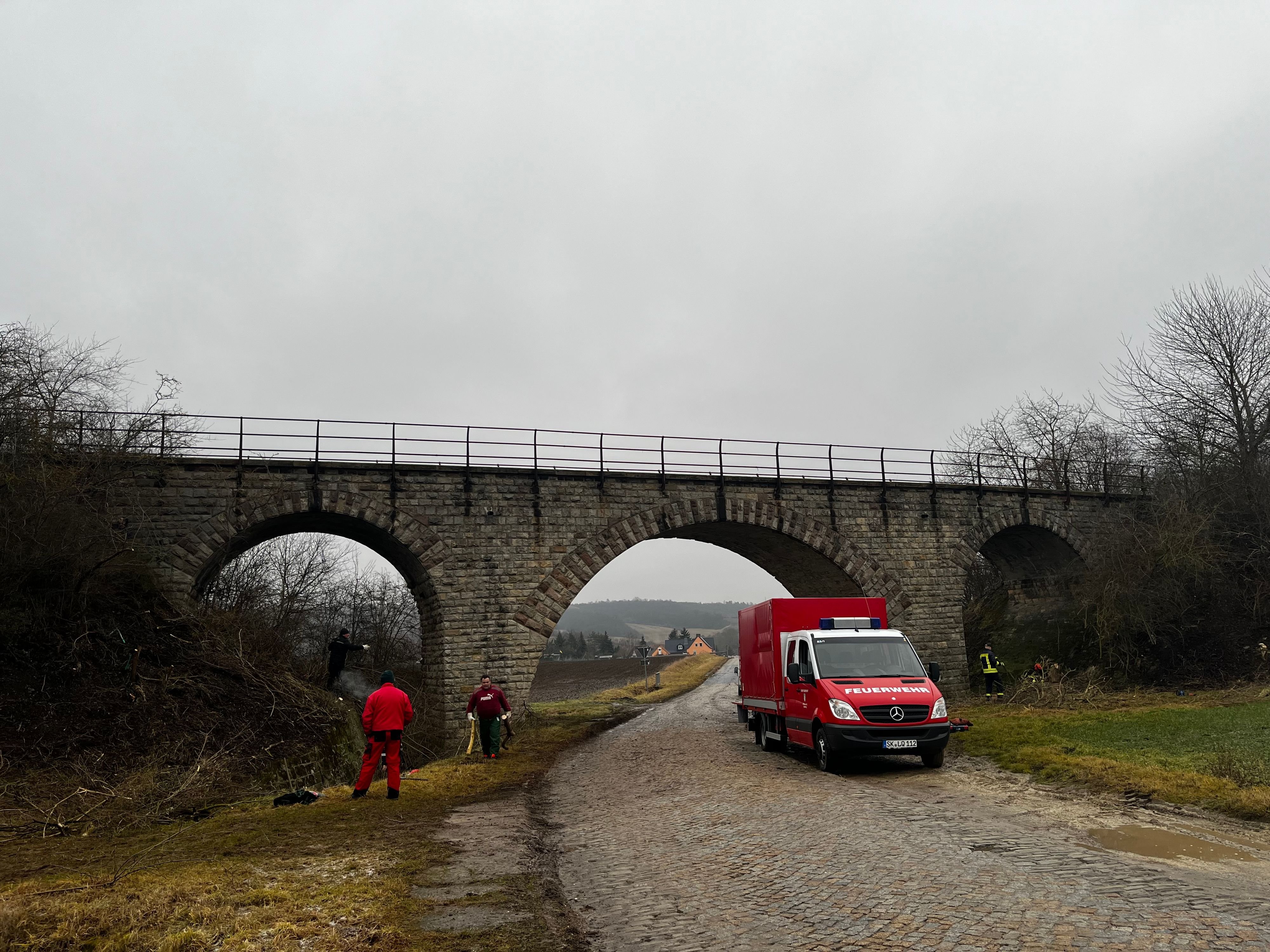 Schonzeit für Vögel beachten: Vorzeitiger Frühjahrsputz am Ortseingang von Spielberg
