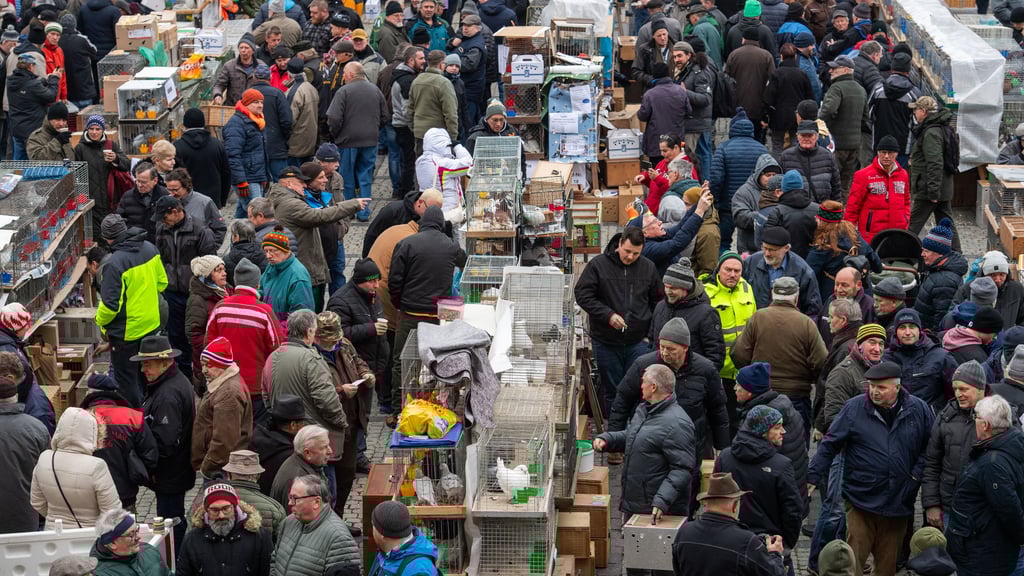 Großer Andrang auf dem Taubenmarkt Naumburg.