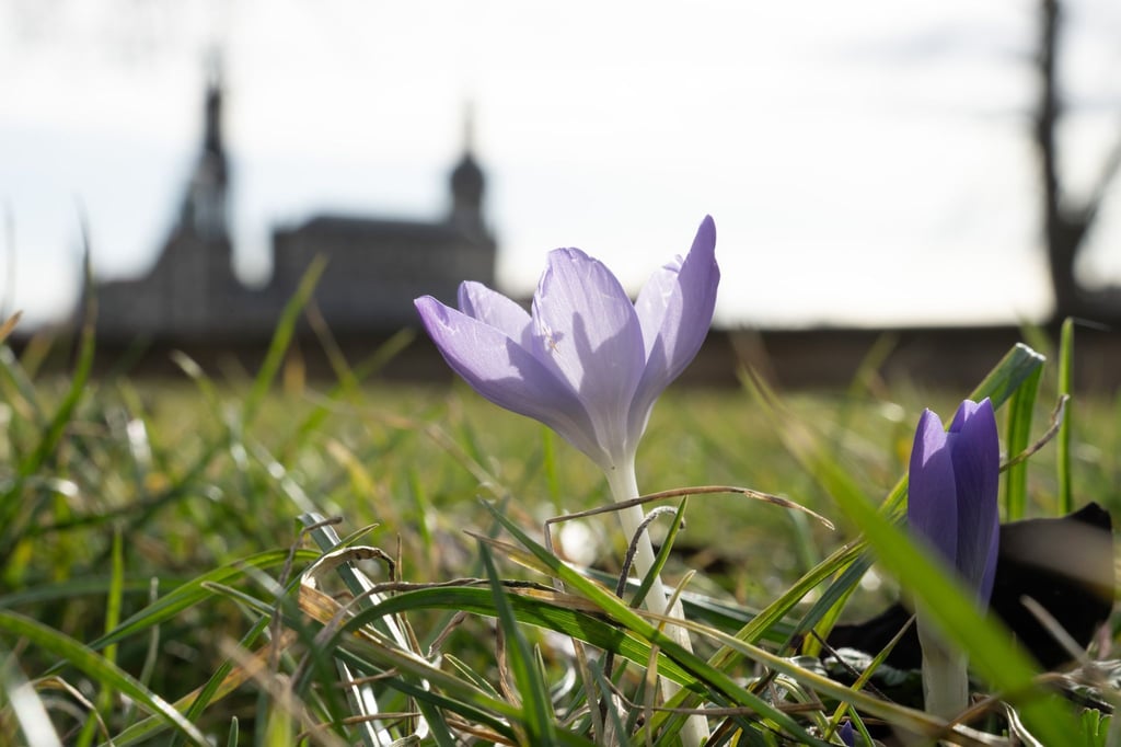 Der Sonntag hält in Sachsen einen sonnigen Nachmittag bereit. (Archivbild)