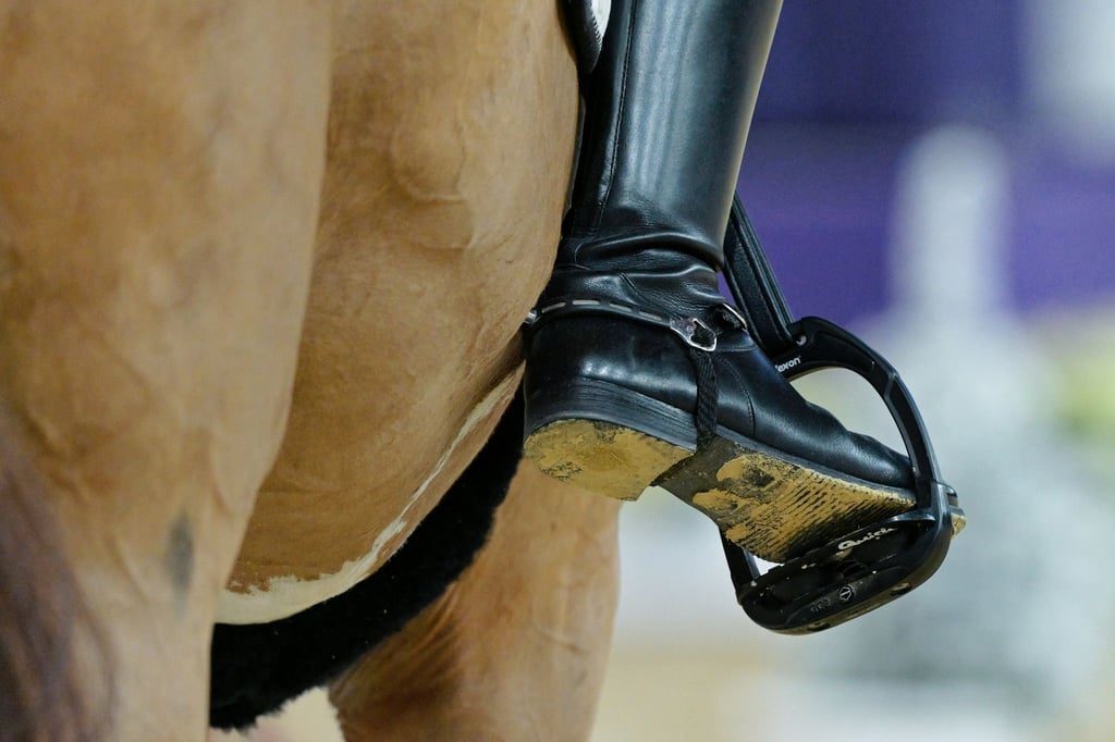 Tierschutzrelevante Vorfälle: In München wurde nun eine Prüfung abgebrochen. (Archivbild)