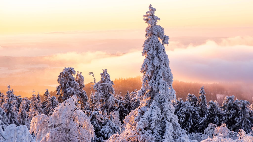 AMOC-Kollaps und ewiger Winter in Europa? Das Naturphänomen diente Hollywood bereits als Grundlage, doch wie realistisch ist das Horrorszenario&nbsp;– für Mitteldeutschland? Ein Leipziger Wissenschaftler klärt auf.