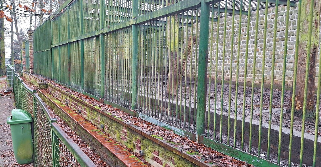 Seit Juni 2012 steht das 250 Quadratmeter große  ehemalige Bärengehege im Klötzer Tierpark leer. Ein oder zwei Luchse sollen hier noch in diesem Jahr ein neues Zuhause finden. Damit ist die Diskussion um die weitere Nutzung der Anlage beendet. 