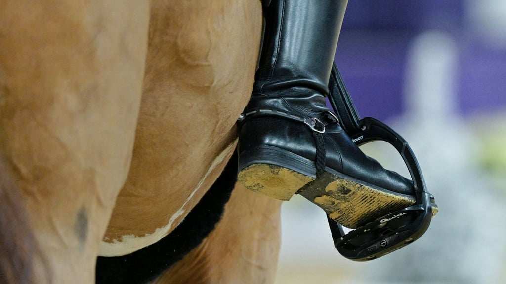 Tierschutzrelevante Vorfälle: In München wurde nun eine Prüfung abgebrochen. (Archivbild)