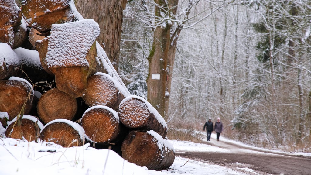 Die Plusgrade gehören wieder der Vergangenheit an: Diese Woche startet mit Schneefall und glatten Straßen.