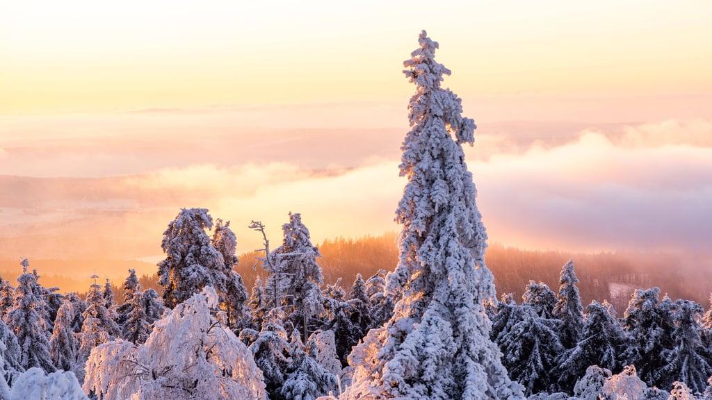 Ein Kollaps des Golfstroms und ewiger Winter in Europa? Das Naturphänomen diente Hollywood bereits als Grundlage, doch wie realistisch ist das Horrorszenario für Mitteldeutschland? Ein Leipziger Wissenschaftler klärt auf.