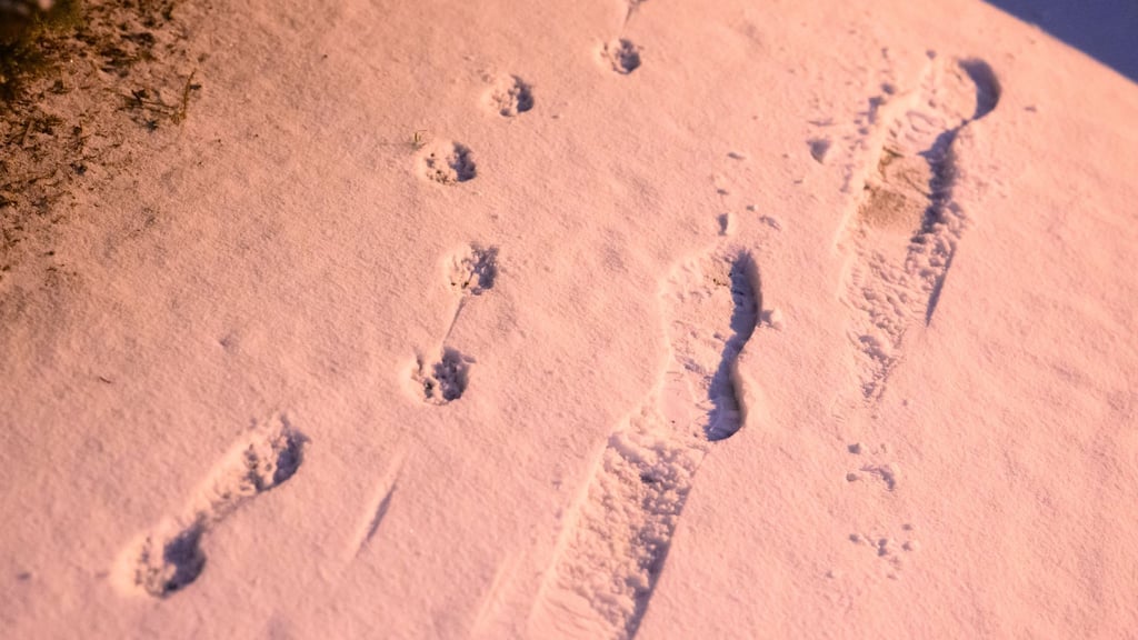 Die Woche beginnt vielerorts mit Schnee.