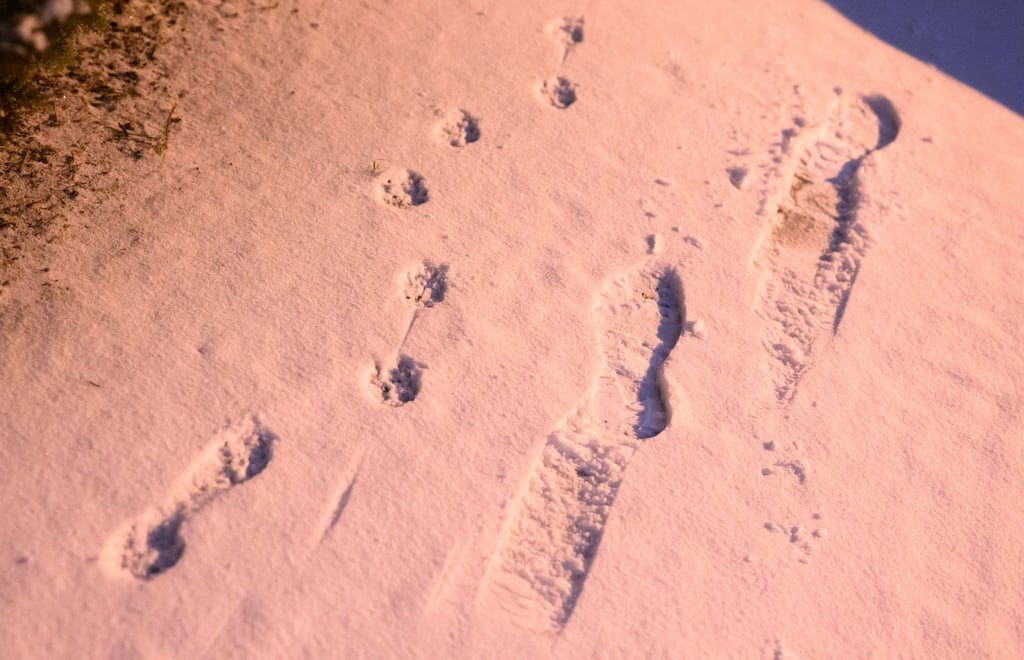 Die Woche beginnt vielerorts mit Schnee.