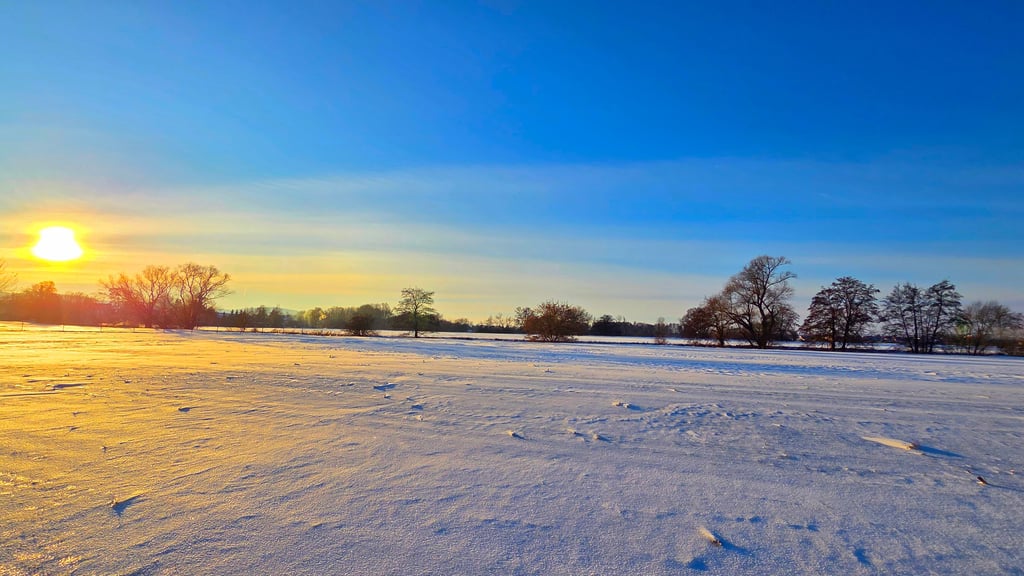Der Schnee schützt die Kulturen auf den Feldern vor dem Frost, so wie hier bei Kelbra. 