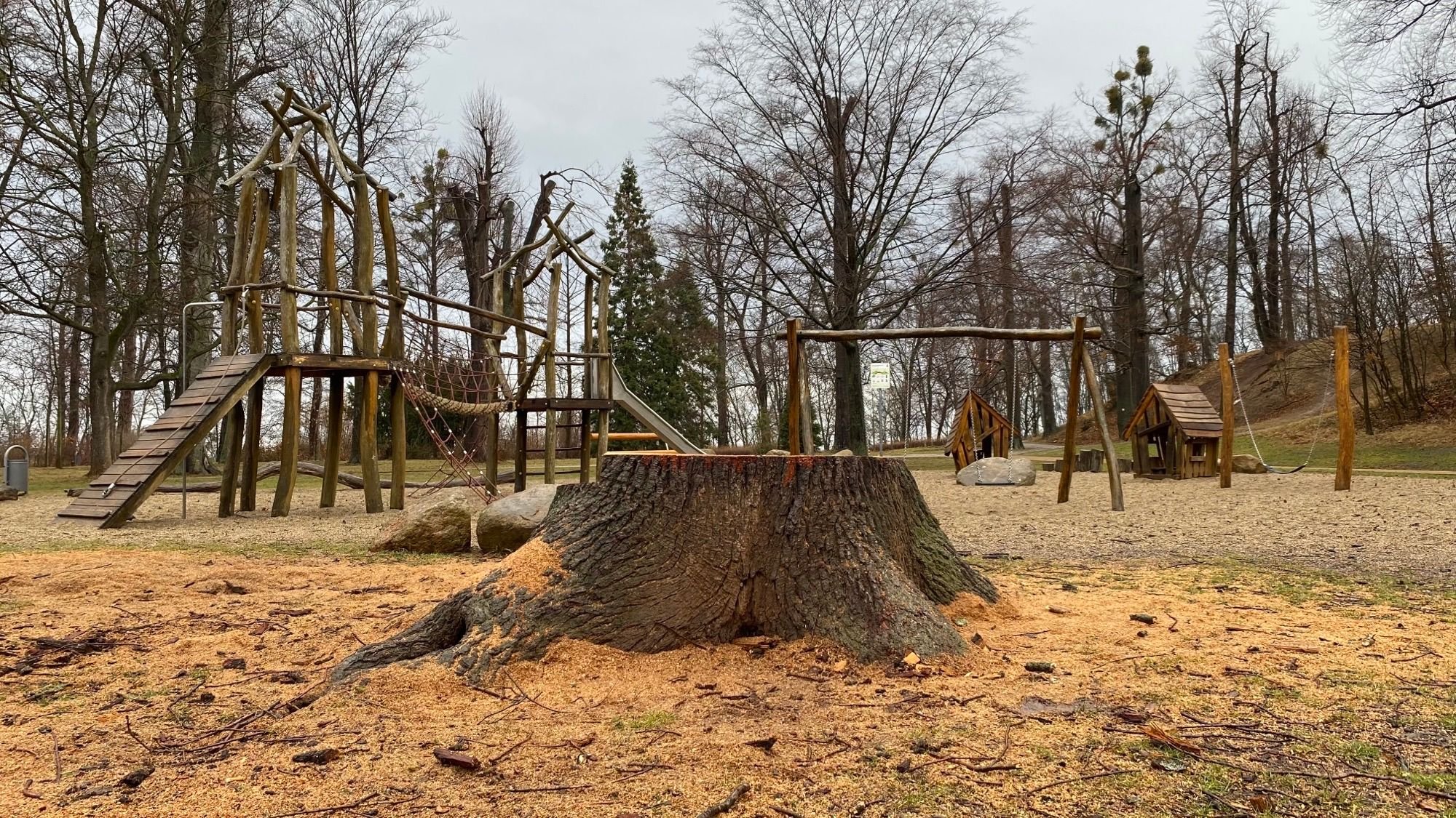 Baumfällung in Harzer Parkanlage: Gefahr im Wernigeröder Lustgarten: Stadt fällt marode Eiche am Spielplatz