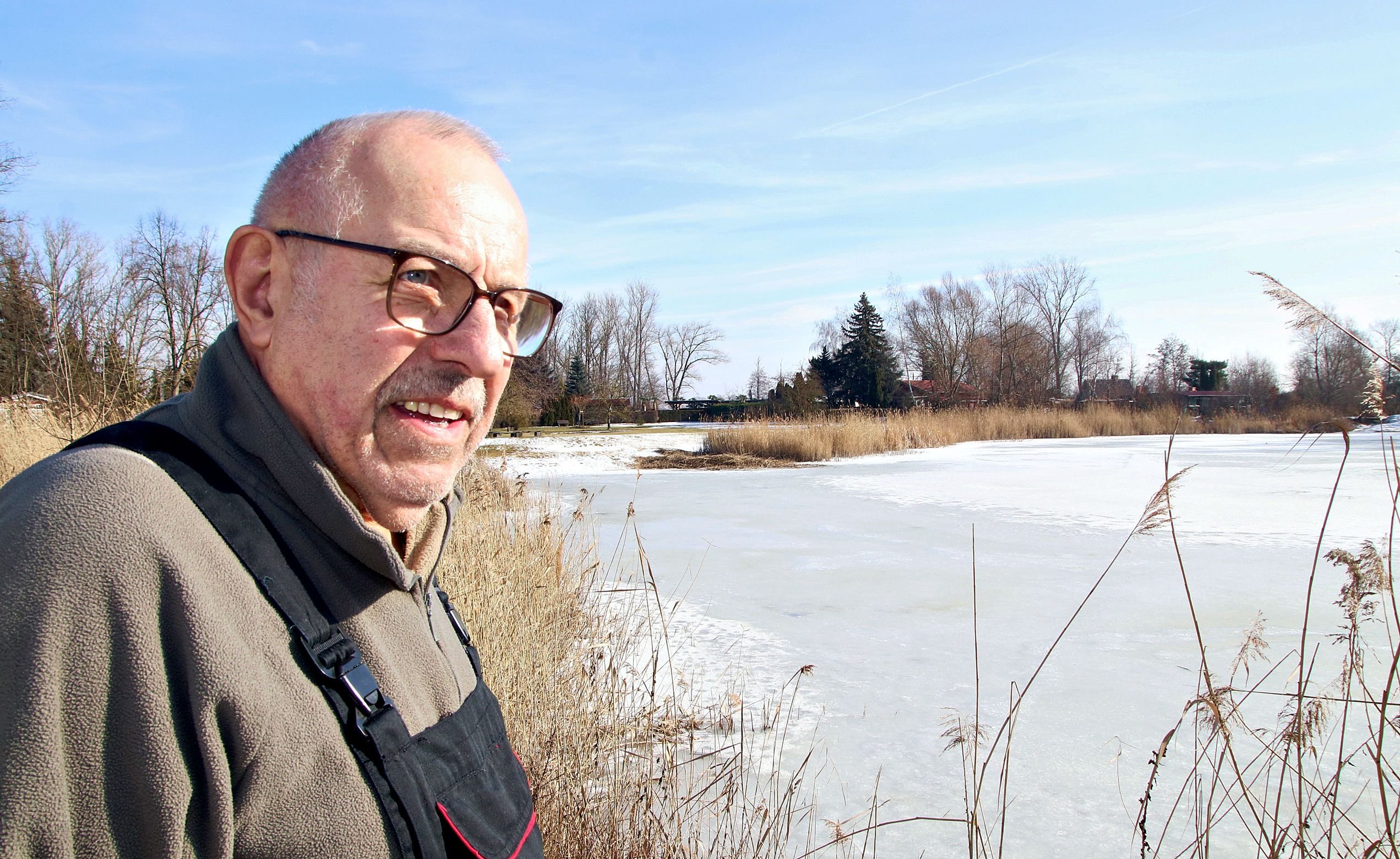 Umweltvergehen in Norderney: Calbe: Schilfgürtel einfach dezimiert