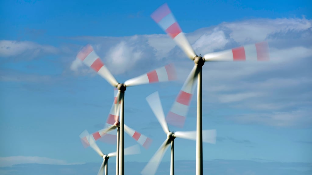 Die Windräder auf der Hochkippe Golpa am Ortsrand von Burgkemnitz stoßen auf Widerstand. 