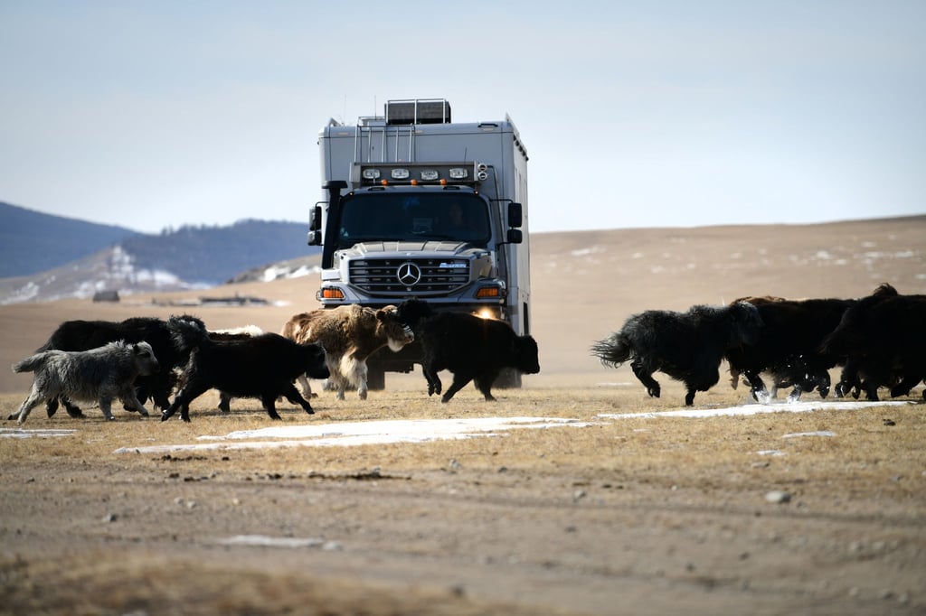 Passanten passieren selten: Falls sie dem Zetros dann doch begegnen, kommen sie meist auf allen Vieren daher.