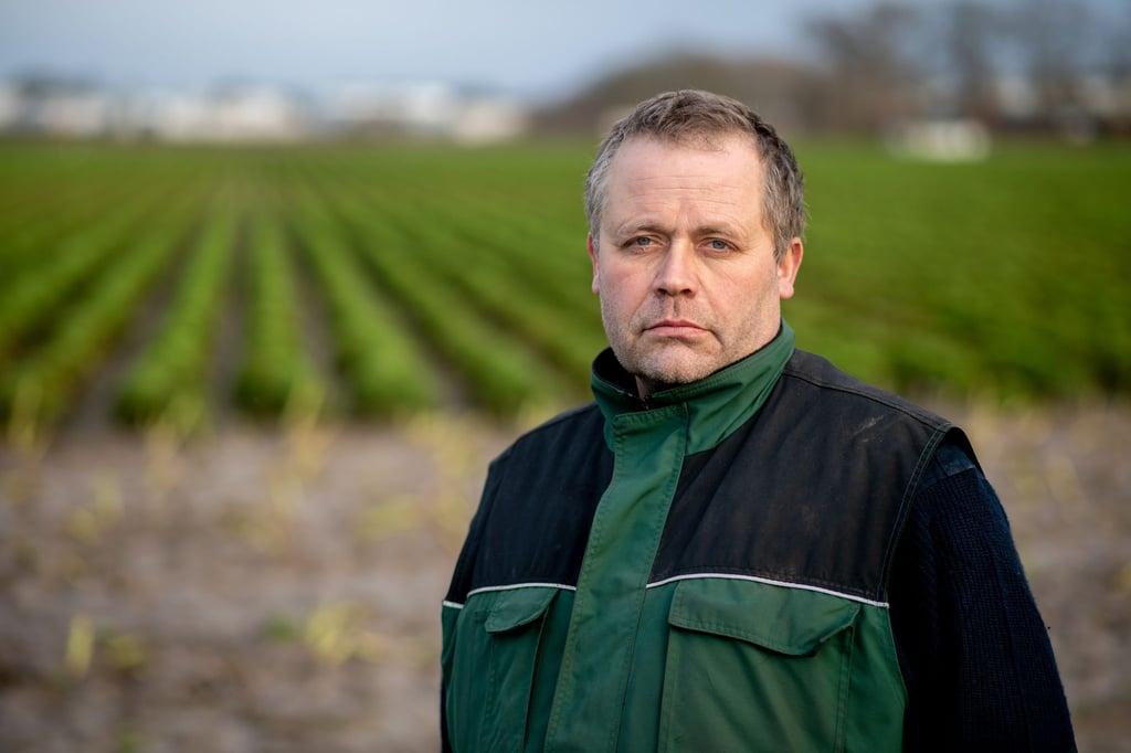 Der Schneefall hat die Grünkohlernte für Gottfried Gerken frühzeitig beendet.