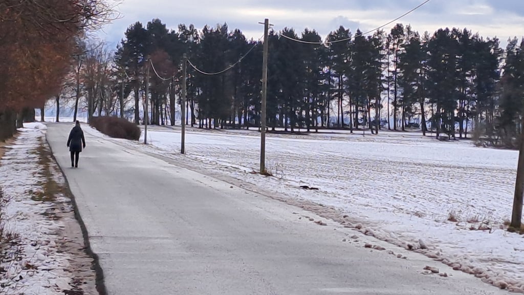 In Altbrandsleben ist die Straße vom Ortsrand zum Kinderheim „Waldhaus“ nicht beleuchtet. Mitglieder des Dorfclubs „Zum Kniel“ und der Ortschaftsrat wollen das ändern.