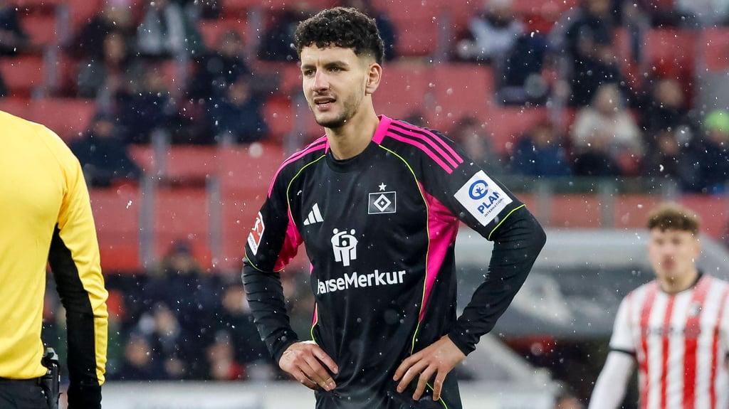 Daniel Elfadli stieg mit dem Hamburger SV in die Bundesliga auf.