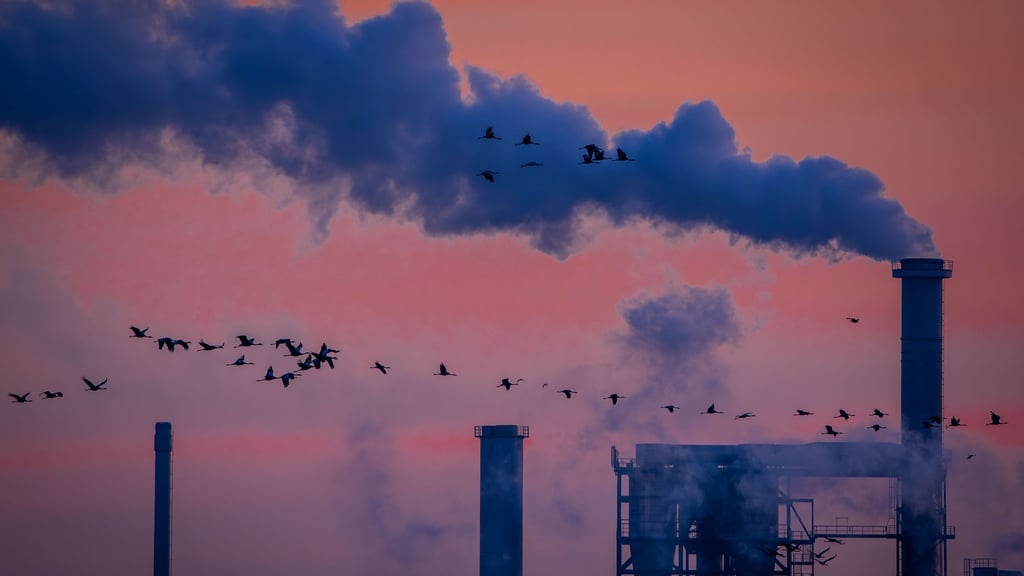 Die deutsche Industrie hat 2025 Umsatz eingebüßt (Archivbild)