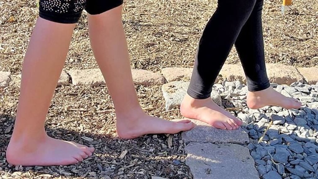 Ein Barfußpfad entlang des Erlebnispfads Elbaue soll in Magdeburg zurückgebaut werden.