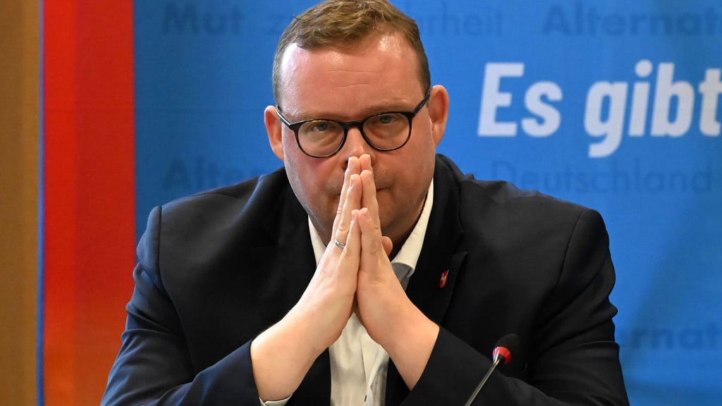 Ansgar Schledde, Vorsitzender der AfD Niedersachsen, will gegen die neue Einstufung vorgehen. (Archivbild)