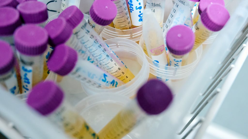 MnHexP ist ein Abbauprodukt des Weichmachers Di-n-hexylphthalat (DnHexP), der als fortpflanzungsschädigend gilt. (Symbolbild)