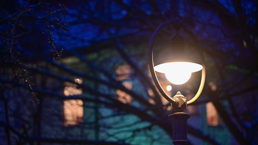 Der Senat will den Schutz von kritischer Infrastruktur wie Stromleitungen erleichtern und damit Stromausfälle unwahrscheinlicher machen. (Archivbild)