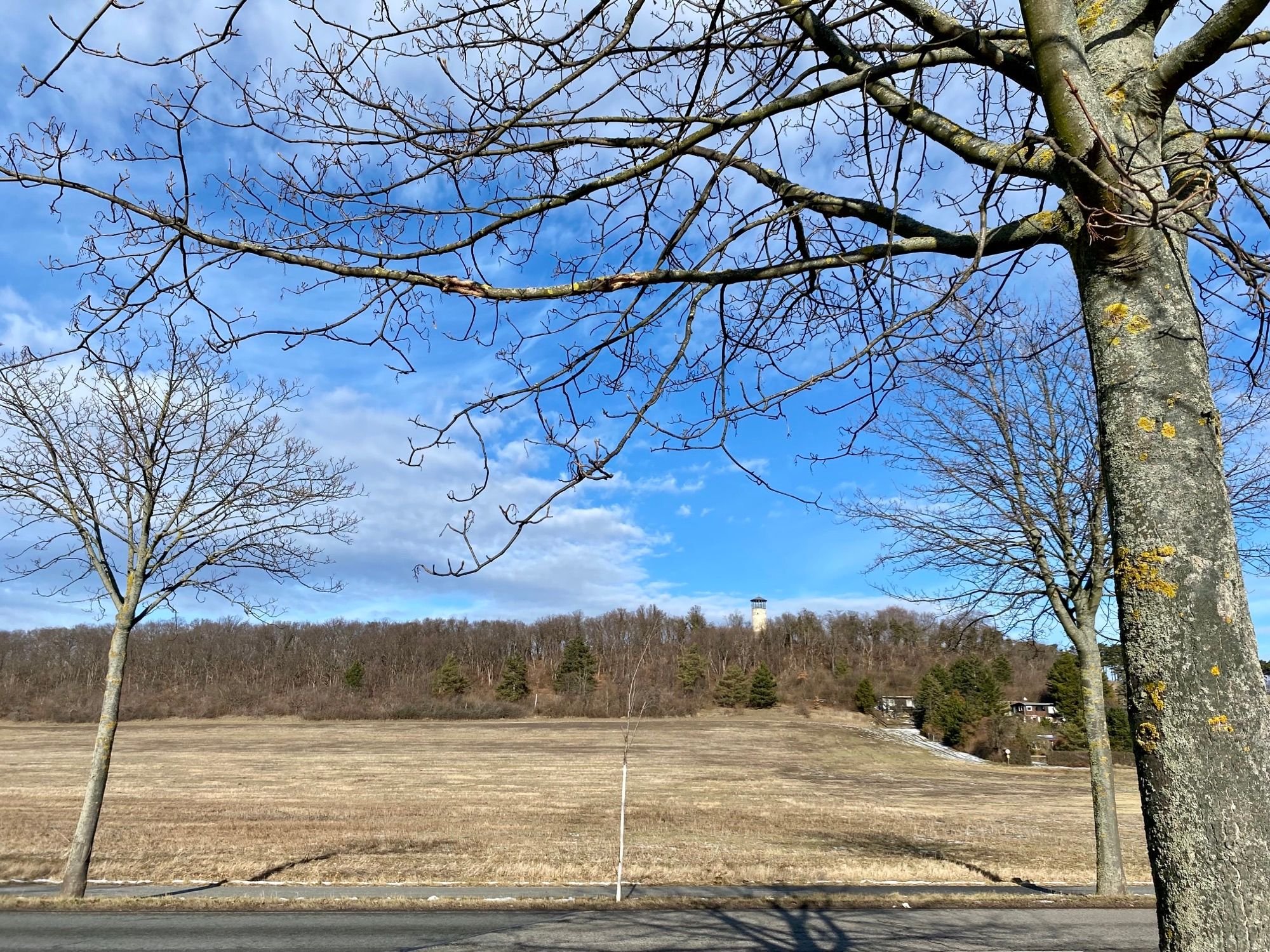 „Unterm Austberg“ in Benzingerode: Eigenheime nahe Wernigerode: Investor kündigt Verträge – Steht Baugebiet vor dem Aus?