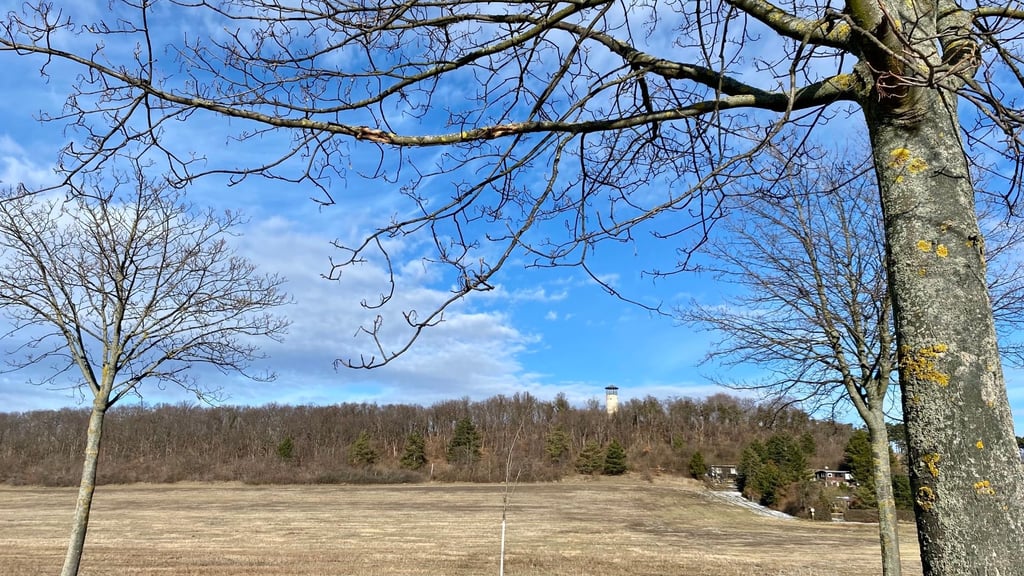 Der Acker am Ortseingang von Benzingerode liegt noch immer brach – dabei sollten schon seit Jahren neue Eigenheime darauf errichtet werden. Sind die Pläne geplatzt?