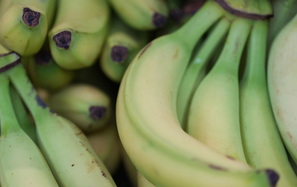 Preise für viele Lebensmittel haben im Januar angezogen. (Symbolbild)