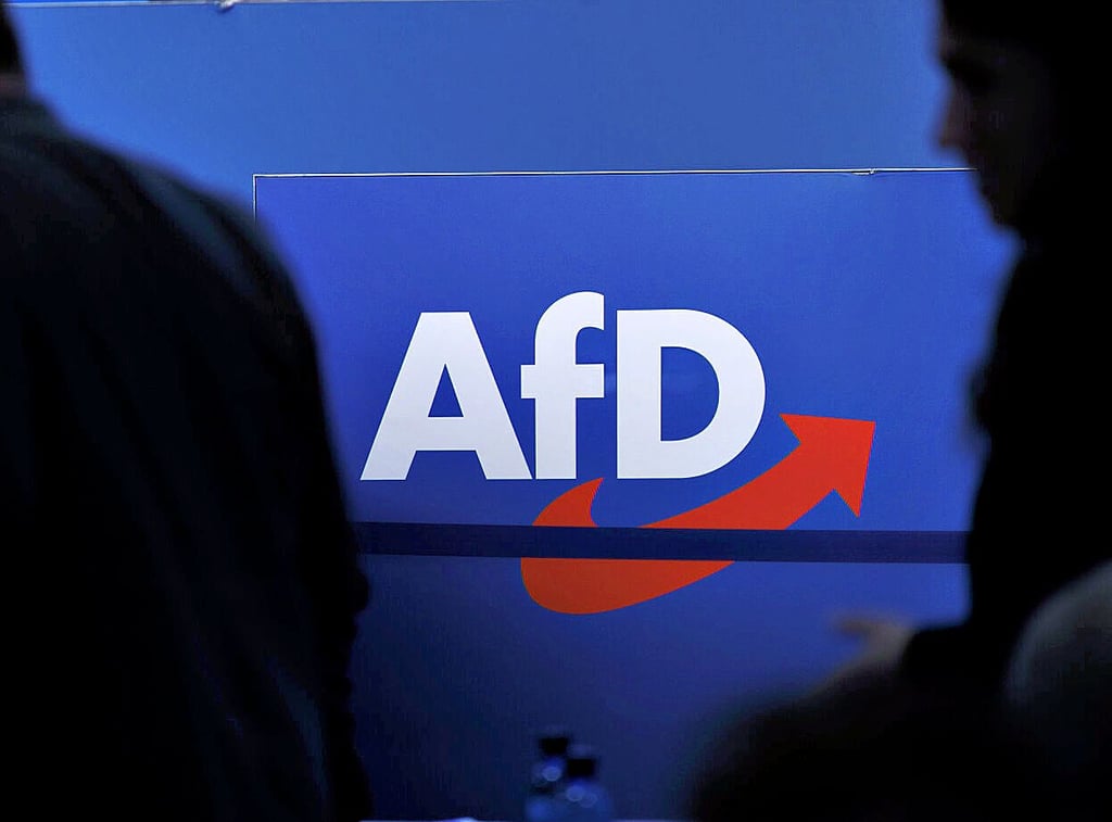 Die AfD will den 156-seitigen Entwurf ihres Regierungsprogramms für Sachsen-Anhalt im April in Magdeburg diskutieren und beschließen.