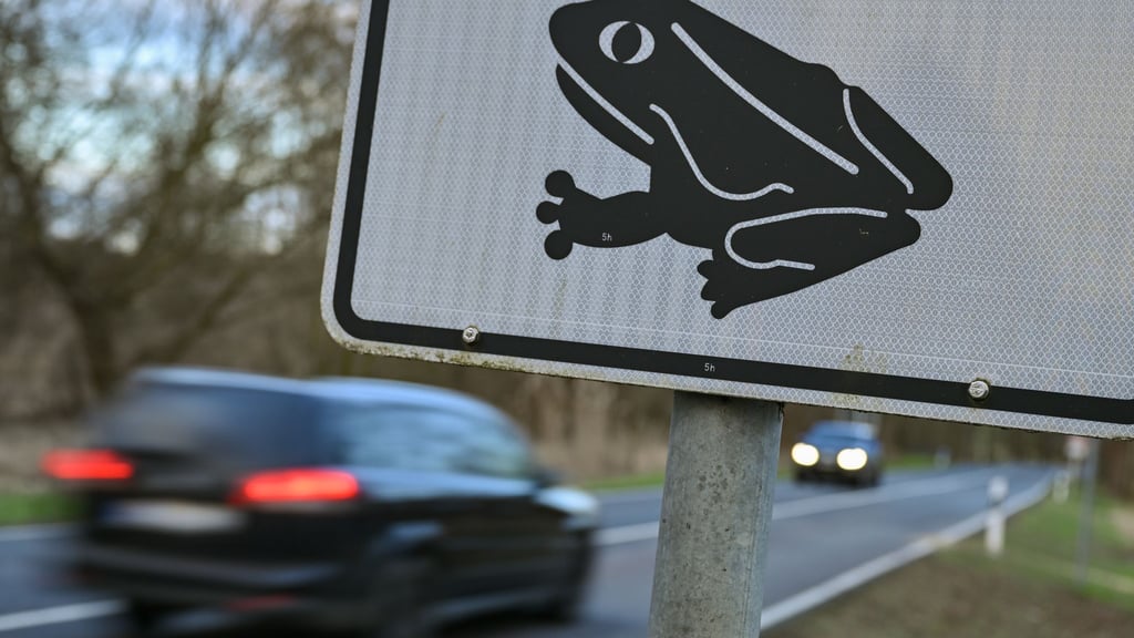 Achtung Amphibien! Bald gehen die kleinen Wesen wieder auf Wanderschaft. (Symbolbild)