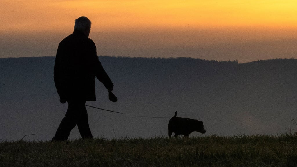 Ein älterer Herr aus dem Raum Zerbst kehrte am 17. Februr nicht vom Spaziergang mit seinem Hund zurück.