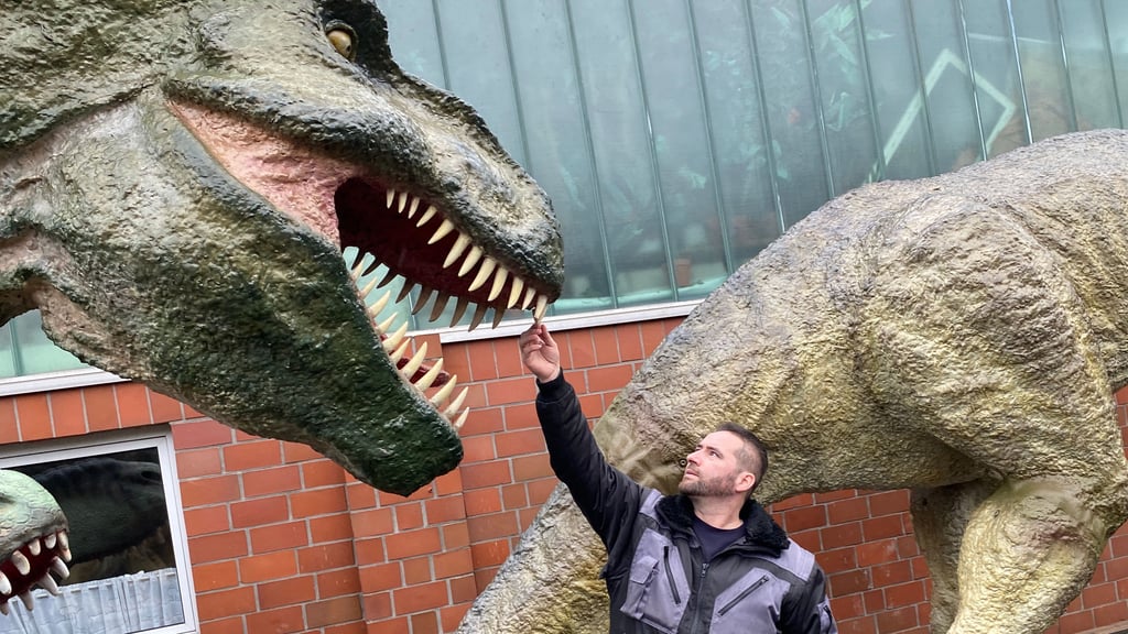 Kleine Dentaluntersuchung im Vorbeigehen: Dieser Dino hat Keine Wackelzähne. Guliano Reinhard mit seinen Dinosauriern in Schopsdorf