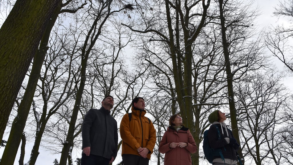 Blick nach oben: Bürgermeister Andreas Pietsch (links) und die CDU-Landtagsabgeordnete Sandra Hietel-Heuer (2. von rechts) bei einem Ortstermin mit Vertretern der Oberen Naturschutzbehörde.