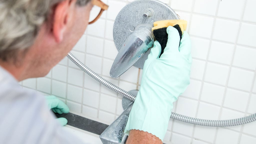 Kalk entfernen leicht gemacht: Essig und Zitronensaft sind umweltfreundliche Alternativen zu chemischen Reinigern.