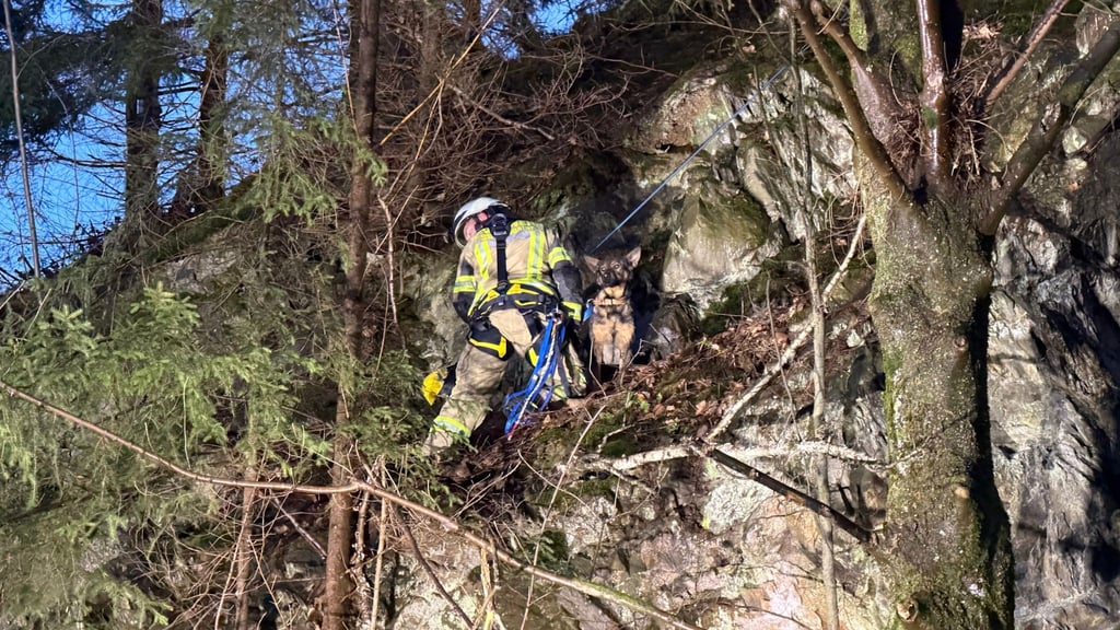 Die Feuerwehr sicherte den Hund.