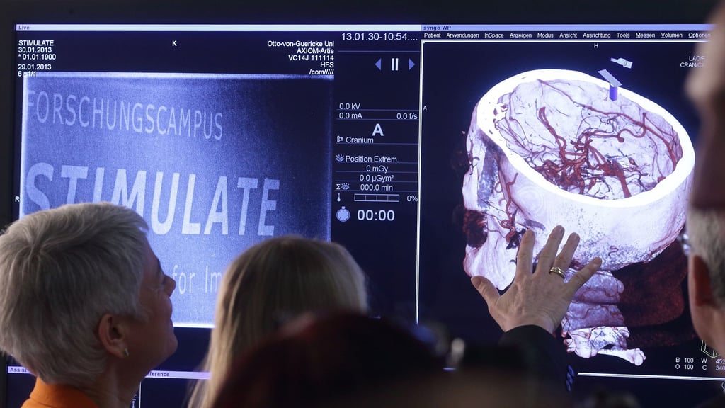 Auch Forschungsprojekte am Medizintechnik-Campus der Universität Magdeburg wurden wieder mit knapp zehn Millionen Euro gefördert. (Archivbild)