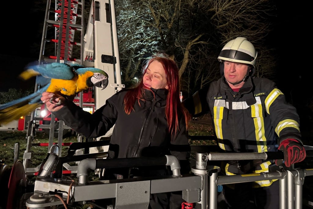 Die Feuerwehr rückte in luftige Höhe aus - für einen tierischen Ausreißer.