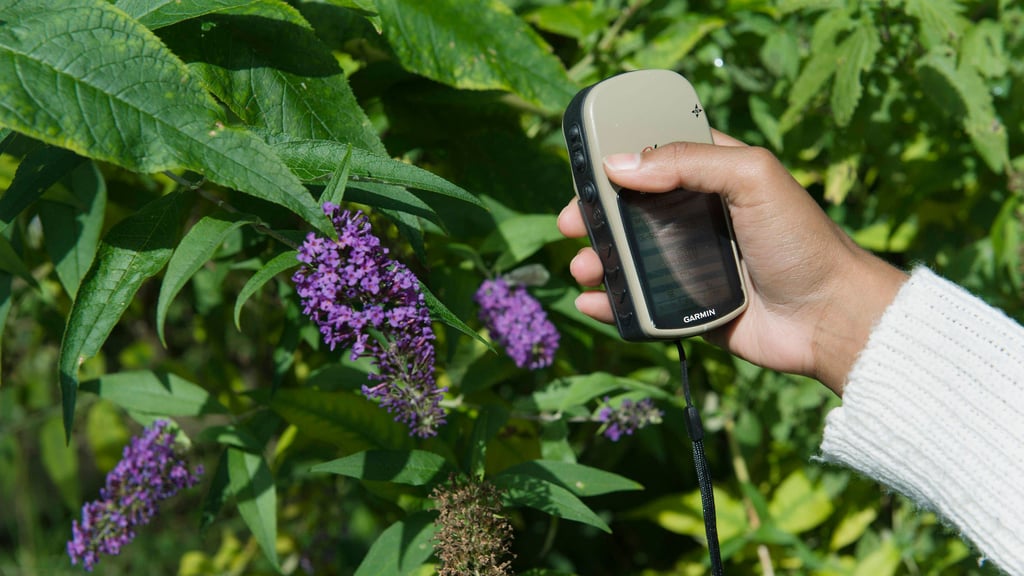 Pflanzen, Tiere und Biotope in Barleben werden bis 2030 kartiert.