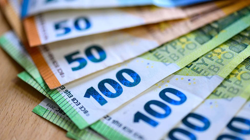 Auf der Suche nach Einsparpotenzial will der Landkreis Mansfeld-Südharz erst mal Geld ausgeben.