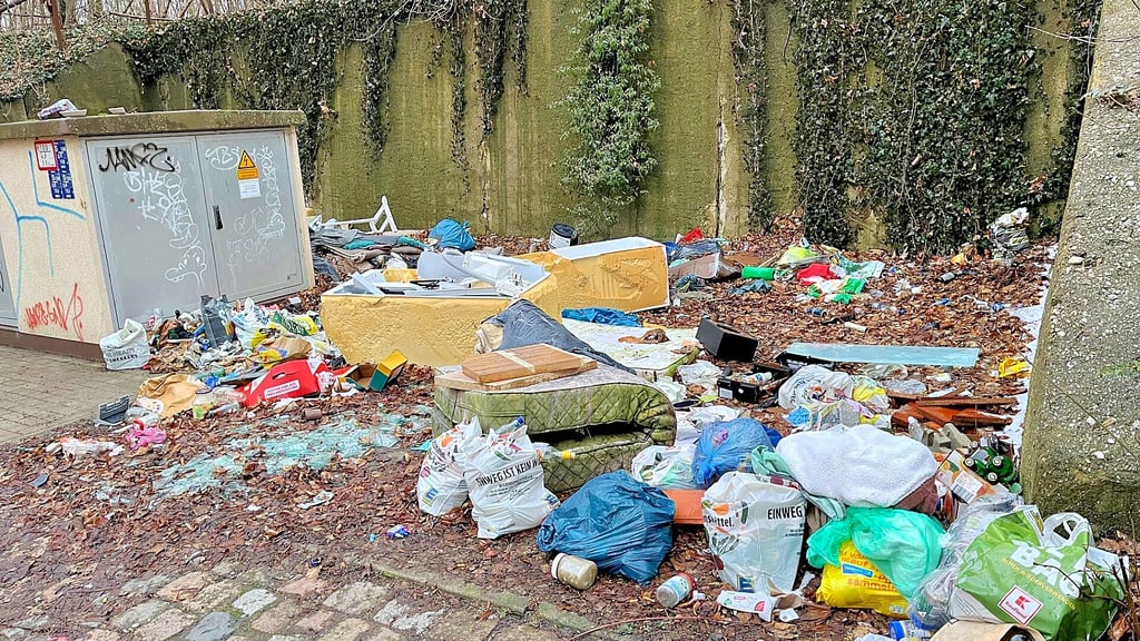 In der Schillerstraße zwischen Tröglitzer Berg und Grundschule wächst eine ohnehin schon große Müllhalde.  