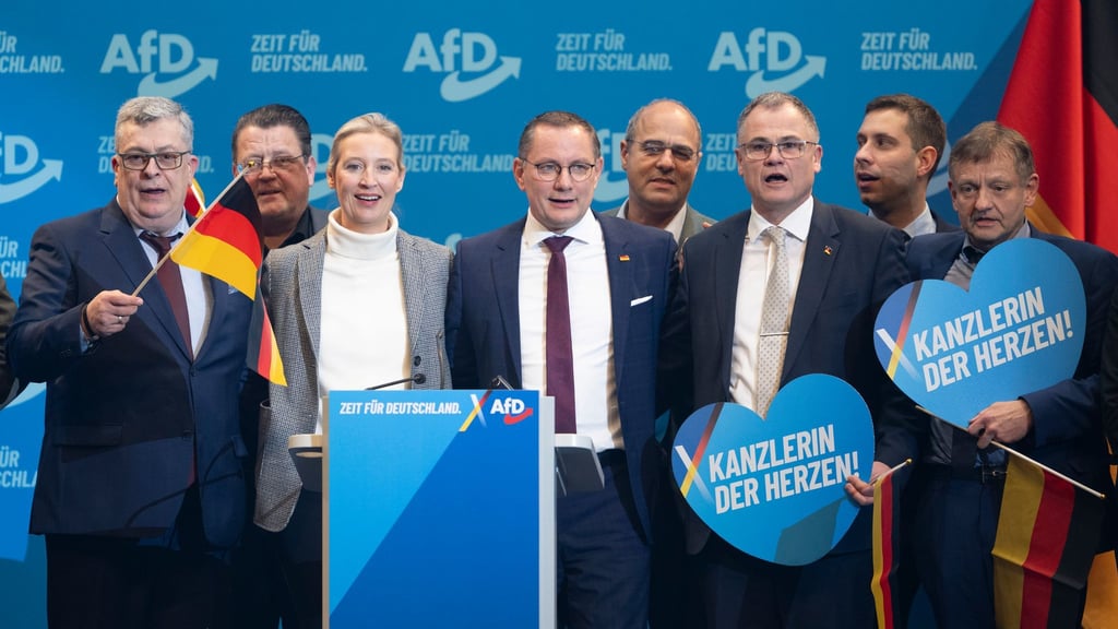 Der Bundesvorstand der AfD möchte sich am Montagabend mit den internen Vorwürfen gegen führende Funktionäre der AfD-Niedersachsen beschäftigen. (Archivfoto)